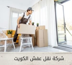 نقل عفش السالمي